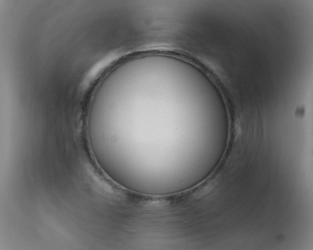 X0000110671406200906261247