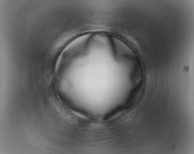 X0000110671407200906261247