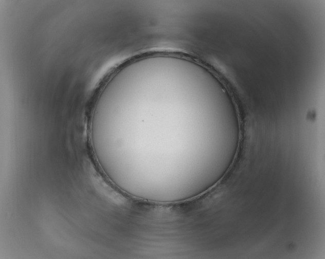 X0000110671408200906261247