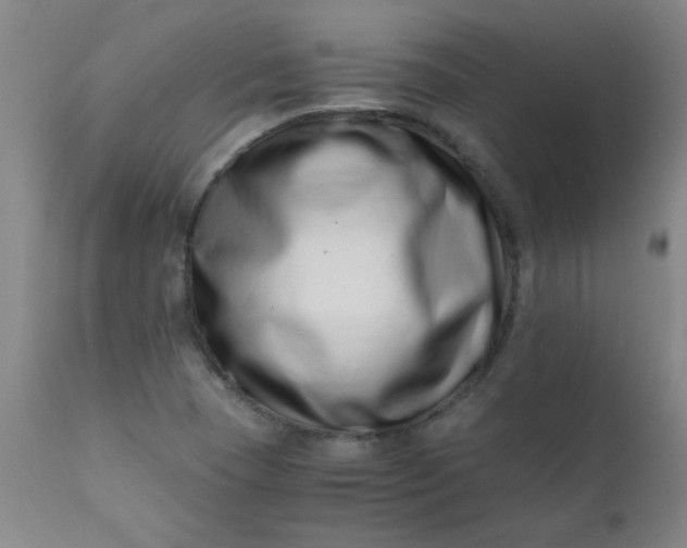X0000110671409200906261247