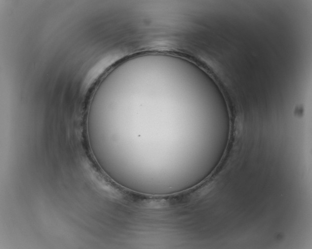 X0000110671410200906261247