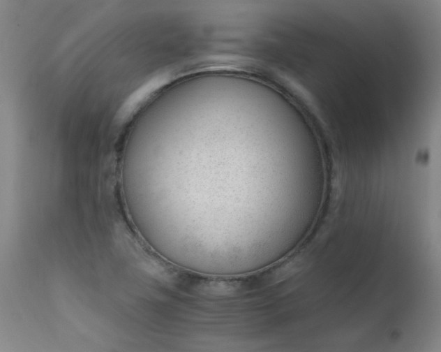 X0000110671411200906261247