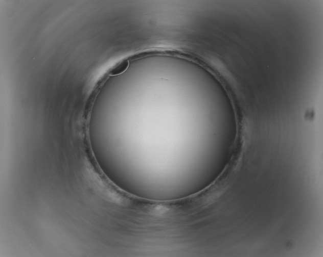X0000110671412200906261247