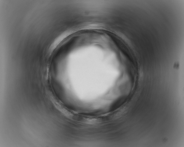X0000110671413200906261247