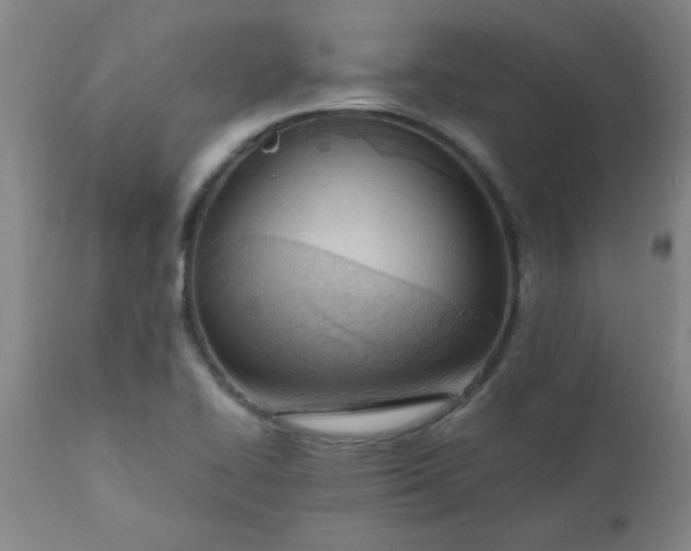X0000110671414200906261247
