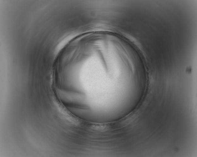 X0000110671415200906261247