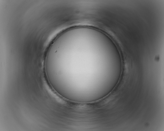 X0000110671416200906261247
