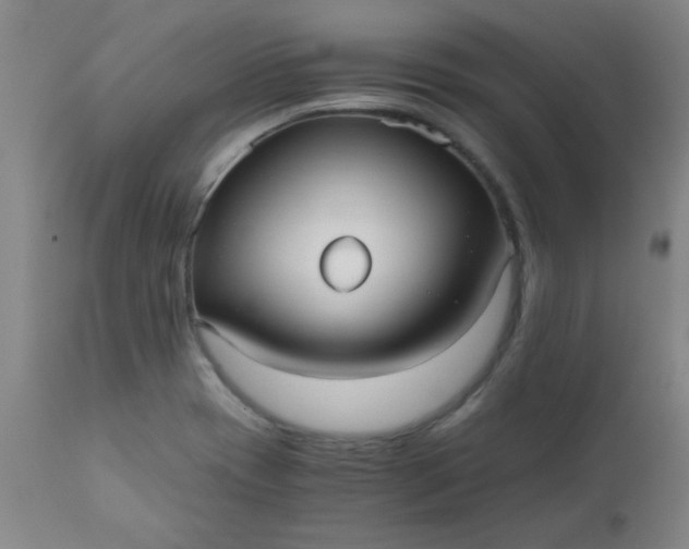 X0000110671417200906261247