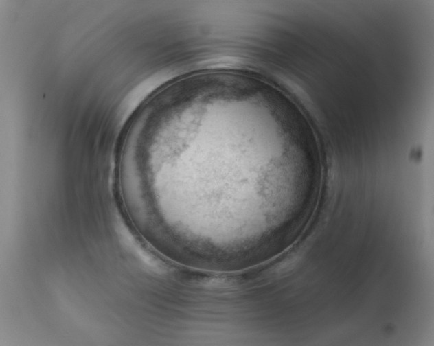 X0000110671418200906261247