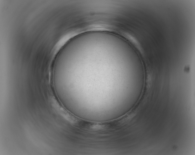 X0000110671419200906261247