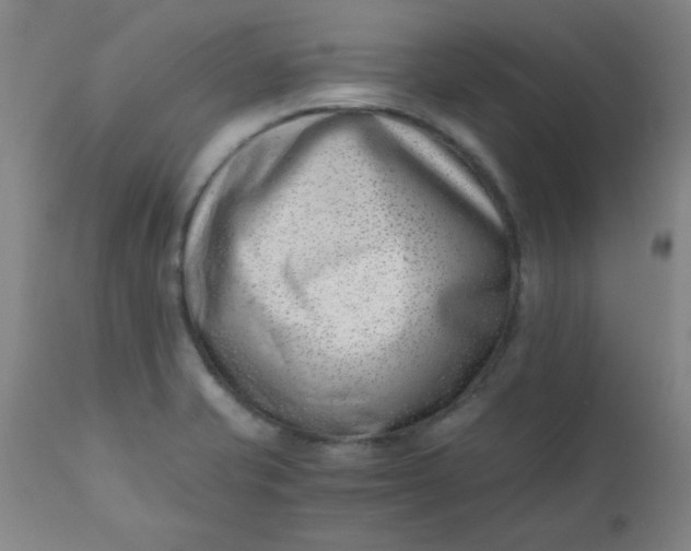 X0000110671421200906261247