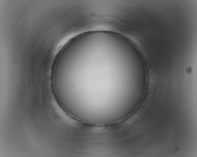 X0000110671422200906261247
