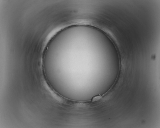 X0000110671424200906261247