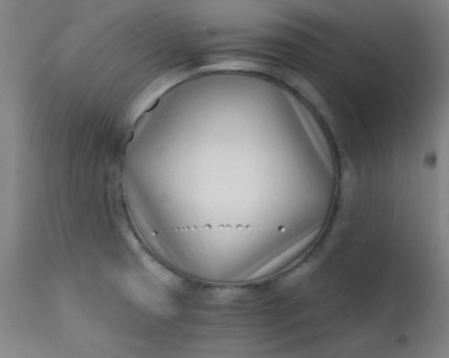 X0000110671425200906261247