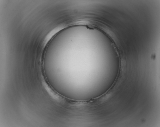 X0000110671426200906261247