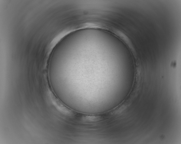 X0000110671427200906261247
