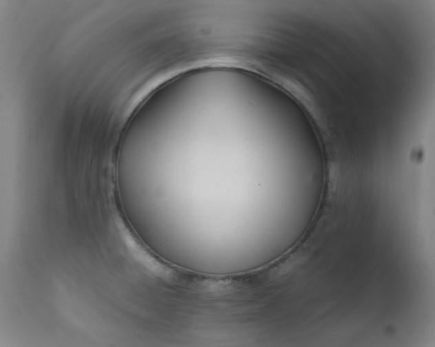 X0000110671428200906261247