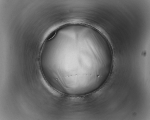 X0000110671429200906261247