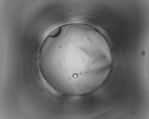 X0000110671431200906261247