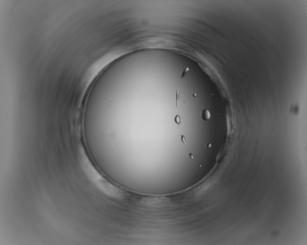 X0000110671434200906261247