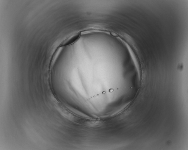 X0000110671435200906261247