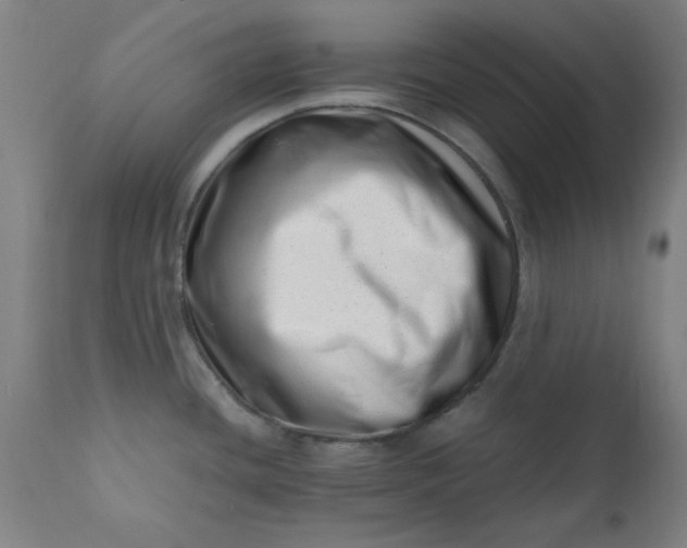 X0000110671436200906261247