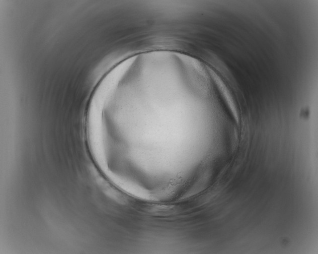 X0000110671439200906261247