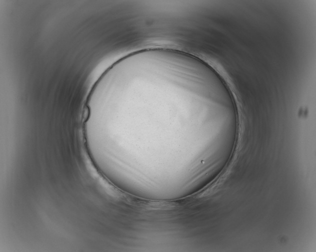 X0000110671440200906261247