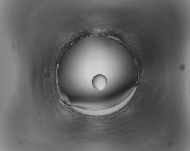 X0000110671441200906261246