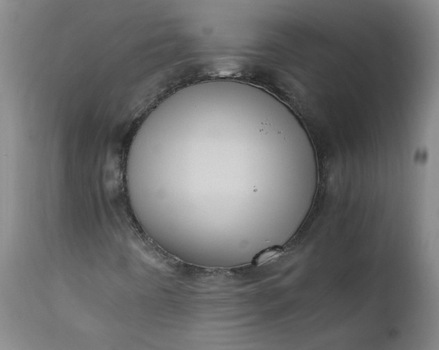 X0000110671442200906261246