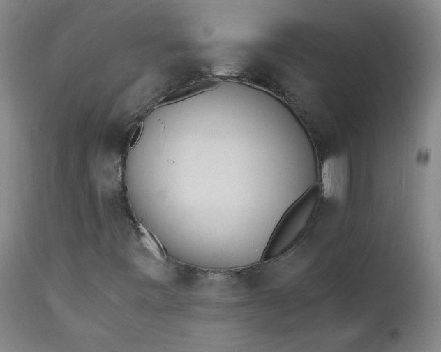 X0000110671443200906261246