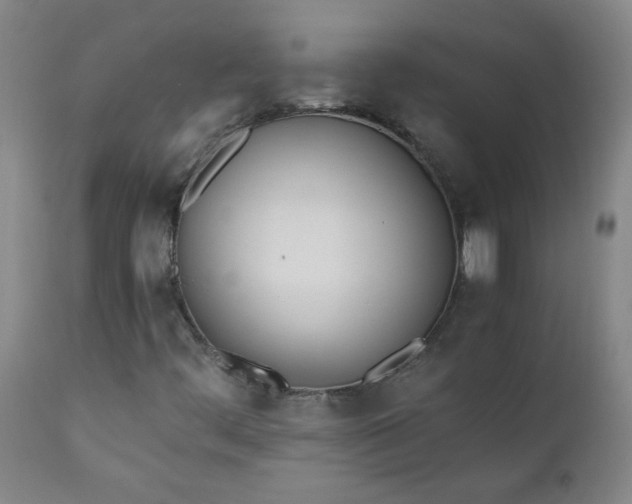 X0000110671444200906261246