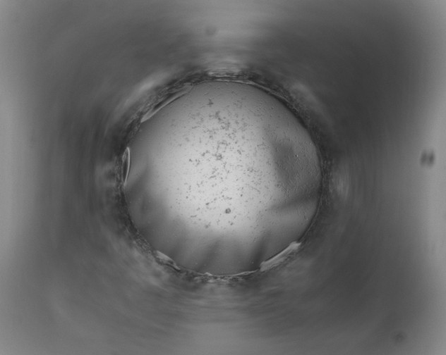 X0000110671445200906261246