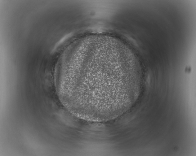 X0000110671446200906261246
