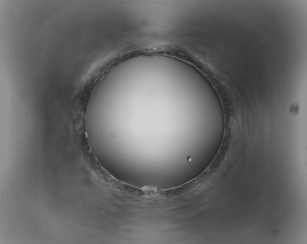 X0000110671447200906261246