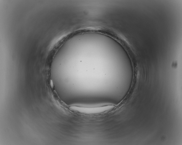X0000110671448200906261246
