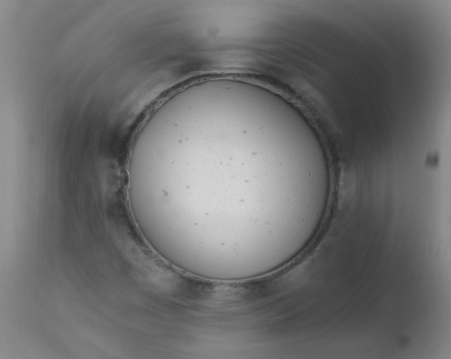 X0000110671449200906261246