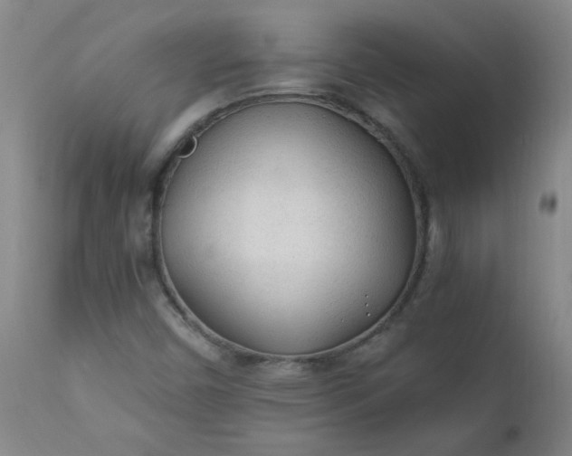 X0000110671450200906261246