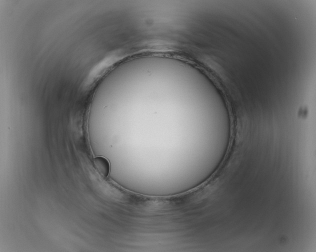 X0000110671451200906261246