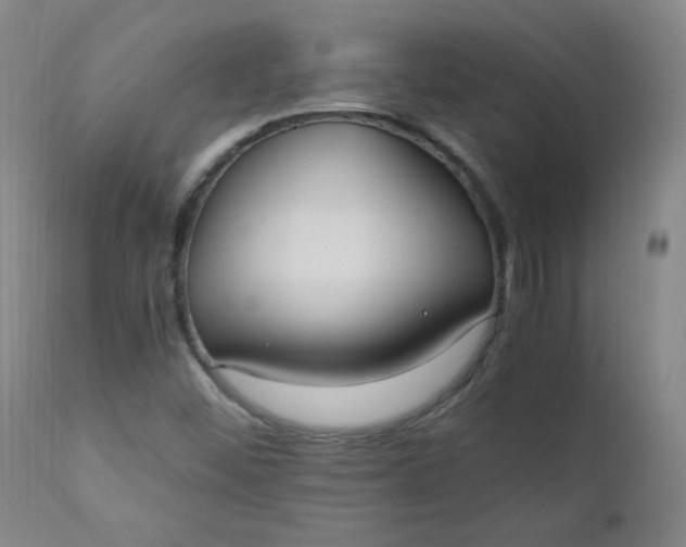 X0000110671452200906261246