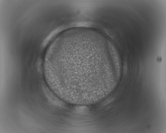 X0000110671454200906261246