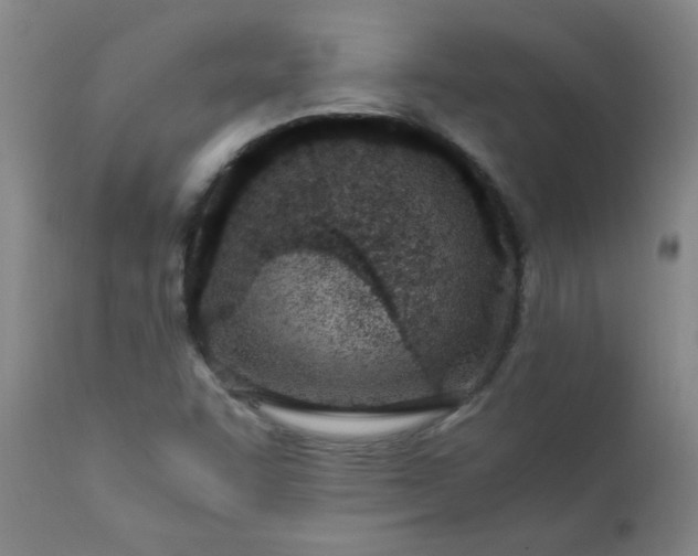 X0000110671455200906261246