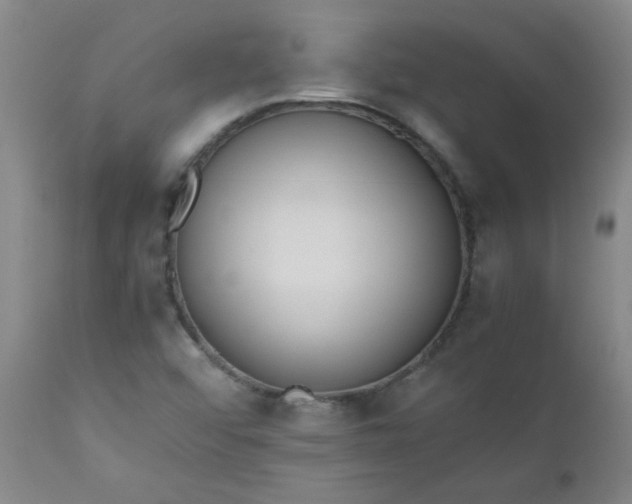 X0000110671456200906261246