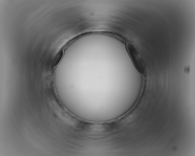 X0000110671457200906261246