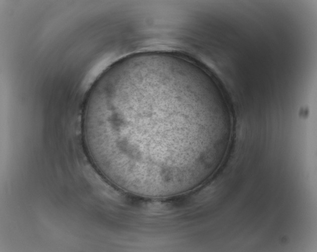 X0000110671459200906261246