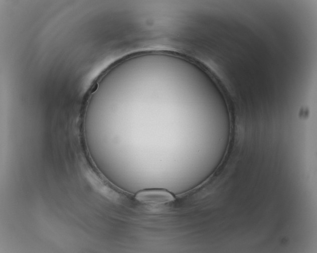 X0000110671460200906261246