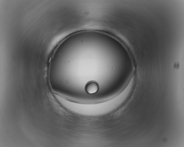 X0000110671461200906261246