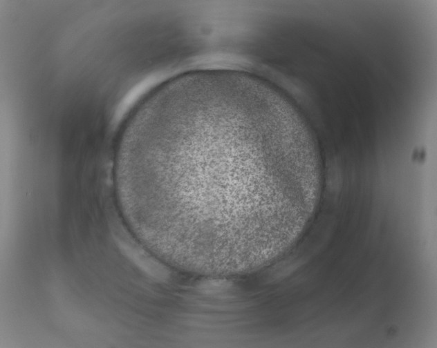 X0000110671462200906261246