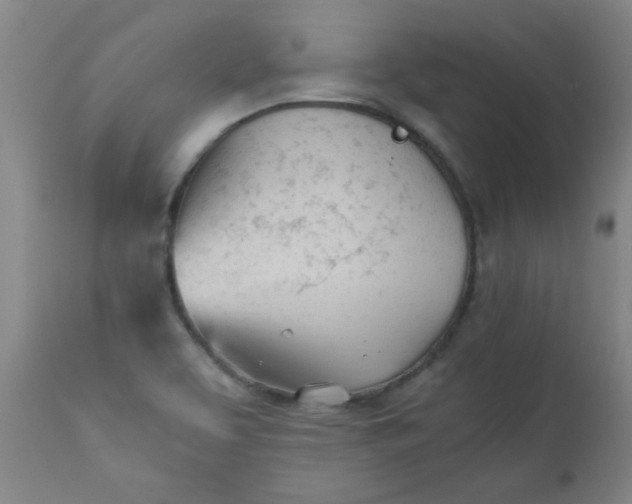 X0000110671463200906261246