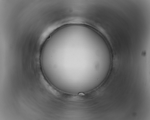 X0000110671464200906261246